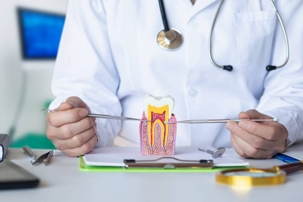 Best Emergency Dental Services for Seniors in Arapahoe, WY